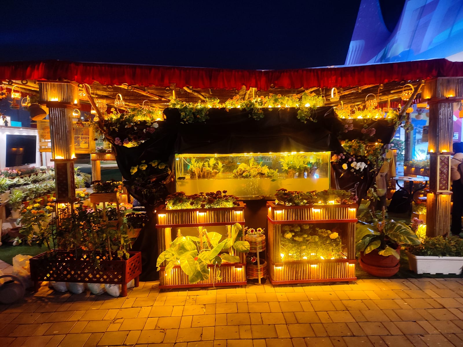 The Paludarium centerpiece at night — glass tank with live aquatic plants, nasturtium vines, fairy lights